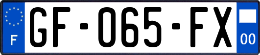 GF-065-FX