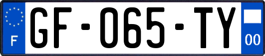 GF-065-TY