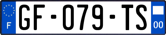 GF-079-TS