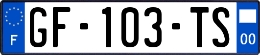 GF-103-TS