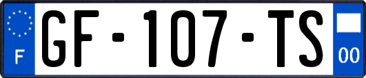 GF-107-TS