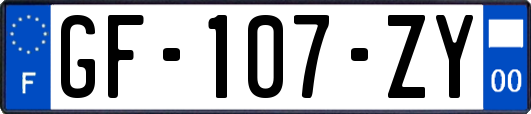 GF-107-ZY