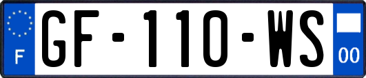 GF-110-WS