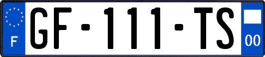 GF-111-TS