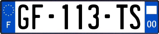 GF-113-TS