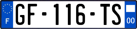 GF-116-TS