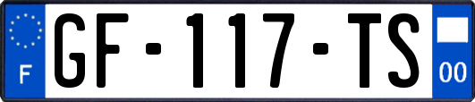 GF-117-TS