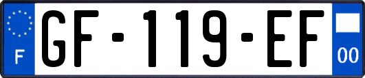 GF-119-EF