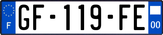 GF-119-FE