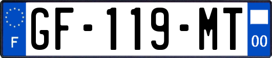 GF-119-MT