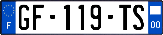 GF-119-TS