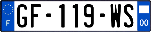 GF-119-WS