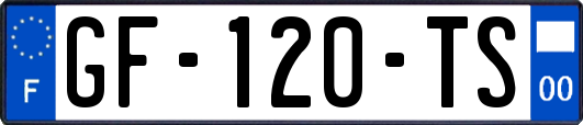 GF-120-TS
