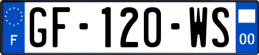 GF-120-WS