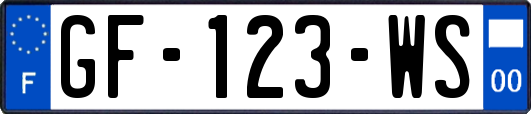 GF-123-WS