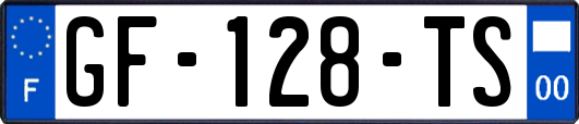 GF-128-TS