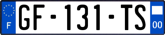 GF-131-TS