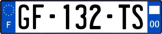 GF-132-TS