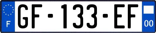 GF-133-EF