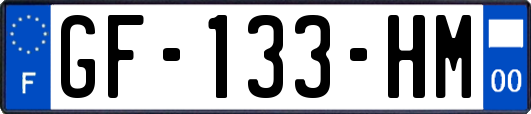 GF-133-HM
