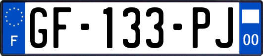 GF-133-PJ