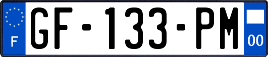 GF-133-PM