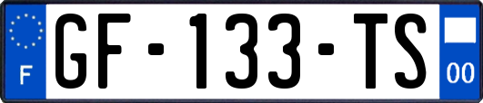 GF-133-TS