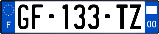 GF-133-TZ
