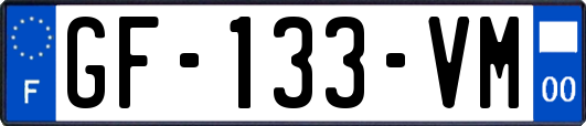 GF-133-VM