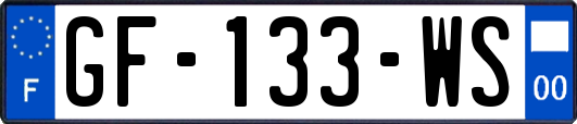 GF-133-WS