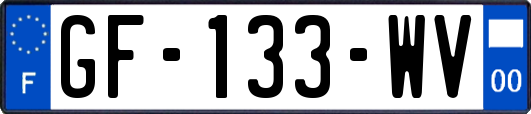 GF-133-WV