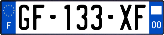 GF-133-XF