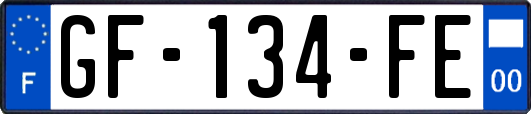GF-134-FE