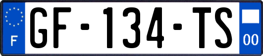 GF-134-TS