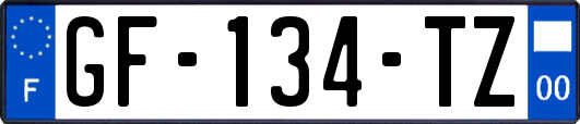 GF-134-TZ