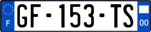 GF-153-TS