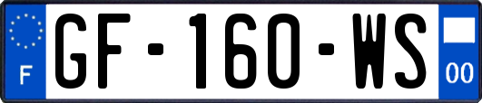 GF-160-WS