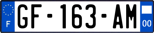 GF-163-AM