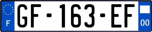 GF-163-EF