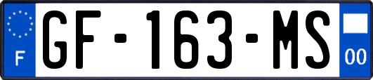 GF-163-MS