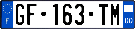 GF-163-TM