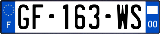 GF-163-WS