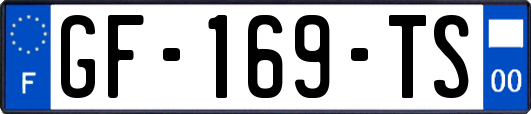 GF-169-TS