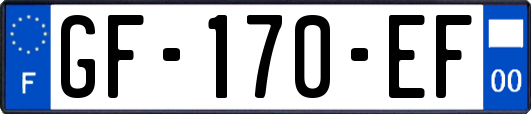 GF-170-EF