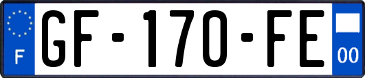 GF-170-FE