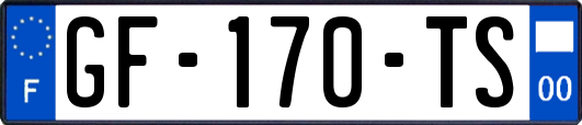 GF-170-TS
