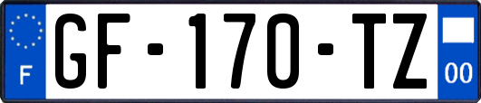 GF-170-TZ