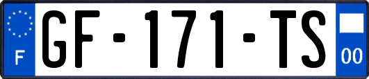 GF-171-TS
