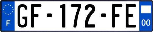 GF-172-FE