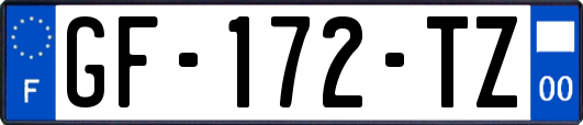 GF-172-TZ